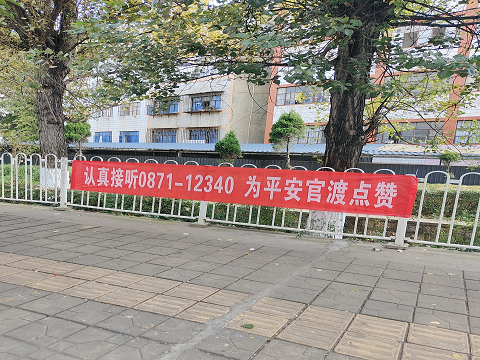 图片1