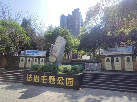 图片3